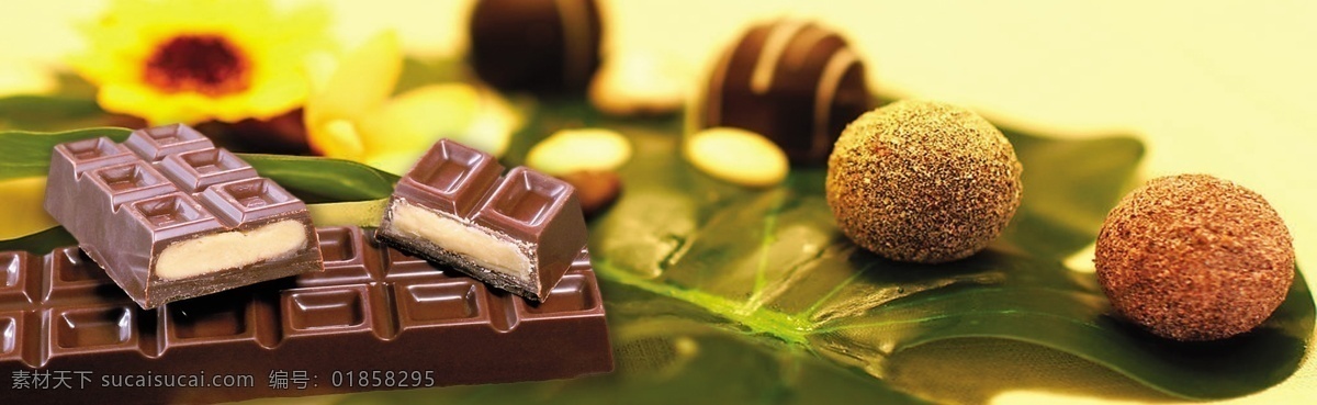 巧克力 榛子 味 黑巧克力 夹心 方形的巧克力 psd源文件