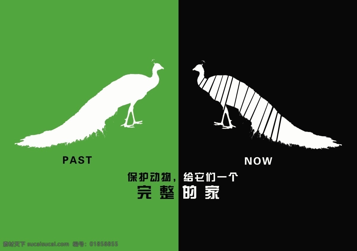 保护 动物 公益 招贴 绿色 招贴设计 海报 其他海报设计