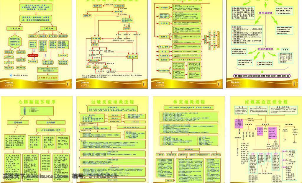 医院 流程图 医院流程图 展板模板 子痫抢救 妊娠高血压 矢量 其他展板设计