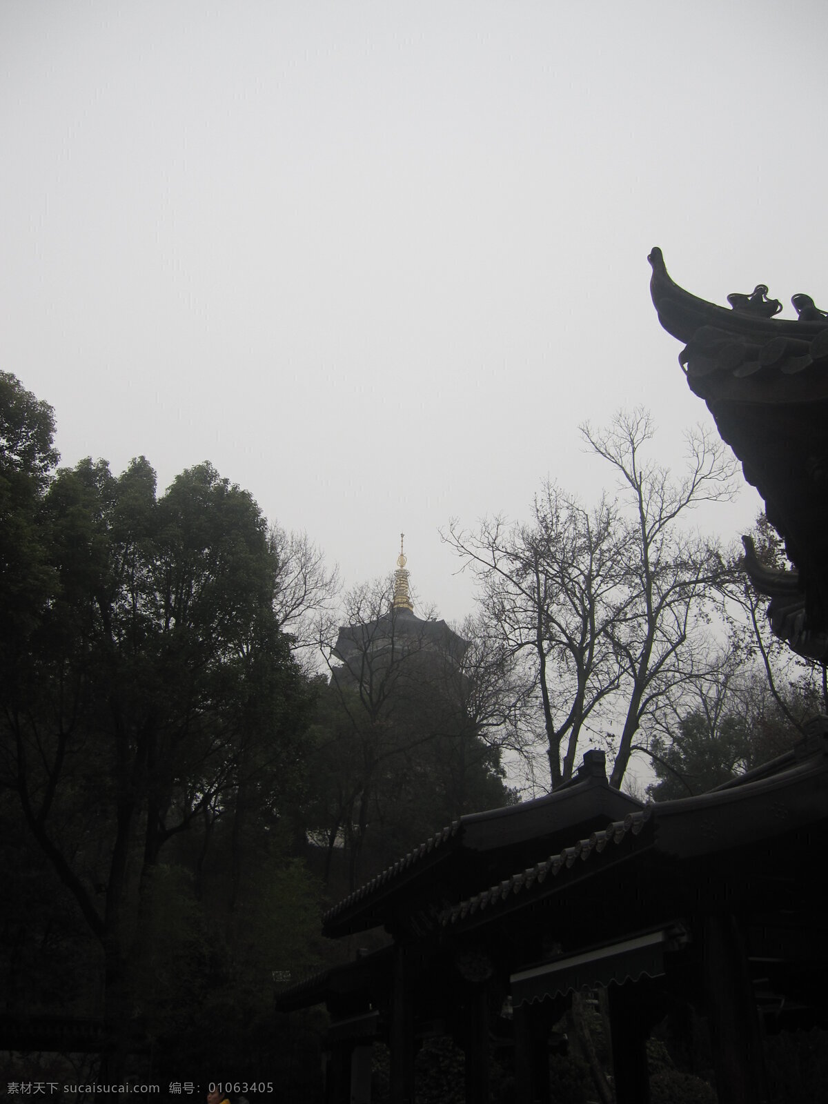 雷峰塔 天空 树木 绿化 房屋 建筑 古建筑 苏杭 国内旅游 旅游摄影 黑色