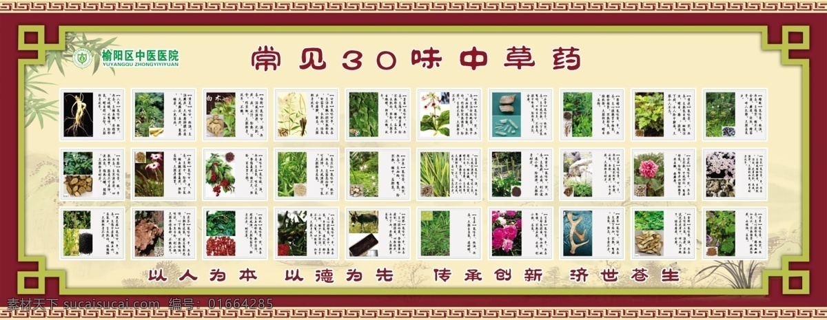 常见 味 中草药 水墨画 中国风 古典 艺术文化 展架展板 宣传栏