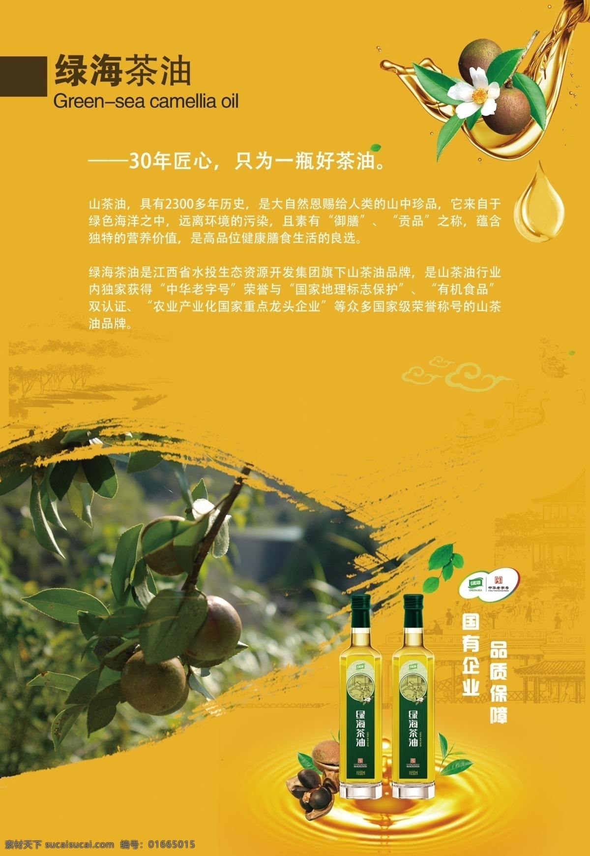 绿海茶油 企业简介 内页 笔记本内页 农业 介绍