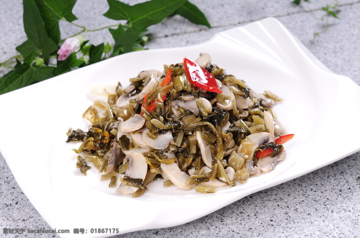 雪菜蘑菇 菌类 蘑菇类 野山菌 真菌菜品 菜 餐饮美食 传统美食