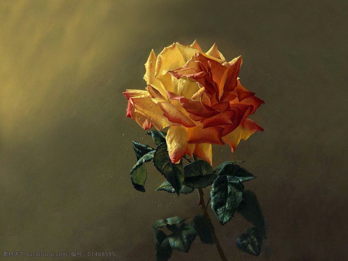 鲜花 鲜花背景 高清鲜花 花 花背景 唯美 唯美背景 花朵 玫瑰 rose 石榴花 芙蓉花 荷花 栀子花 山茶花 茶梅花 桃花 樱花 杏花 梨花 月季花 玫瑰花 茉莉花 蔷薇花 迎春花 海棠花 兰花 桂花 菊花 梅花 丁香花 金银花 凌霄花 水仙花 那些花儿 生物世界 花草