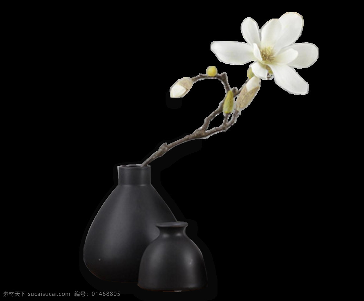 清新 白色 花朵 元素 白色玉兰花 黑色 花瓶 免扣 透明