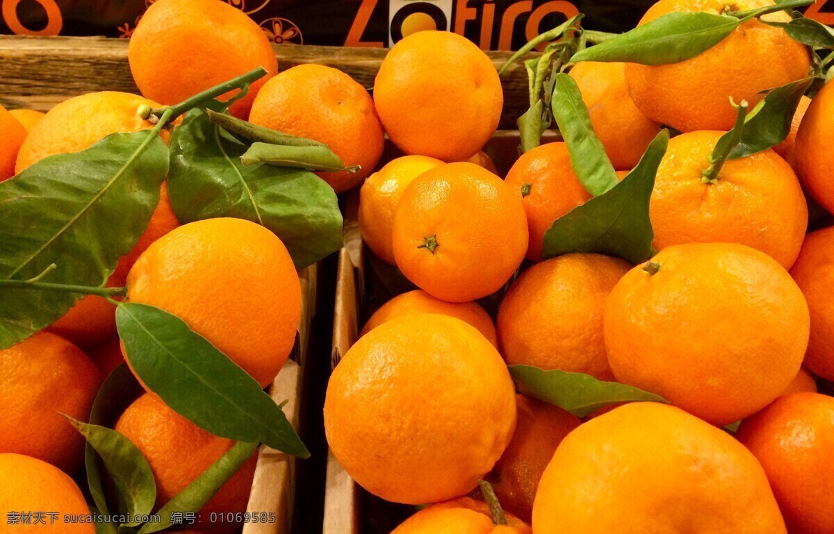 砂糖橘 水果摊 柑橘 鲜橘 橘皮 橙色橘子 橘子 桔子 小橘子 小桔子 水果 新鲜水果 果蔬 蔬菜 生物世界