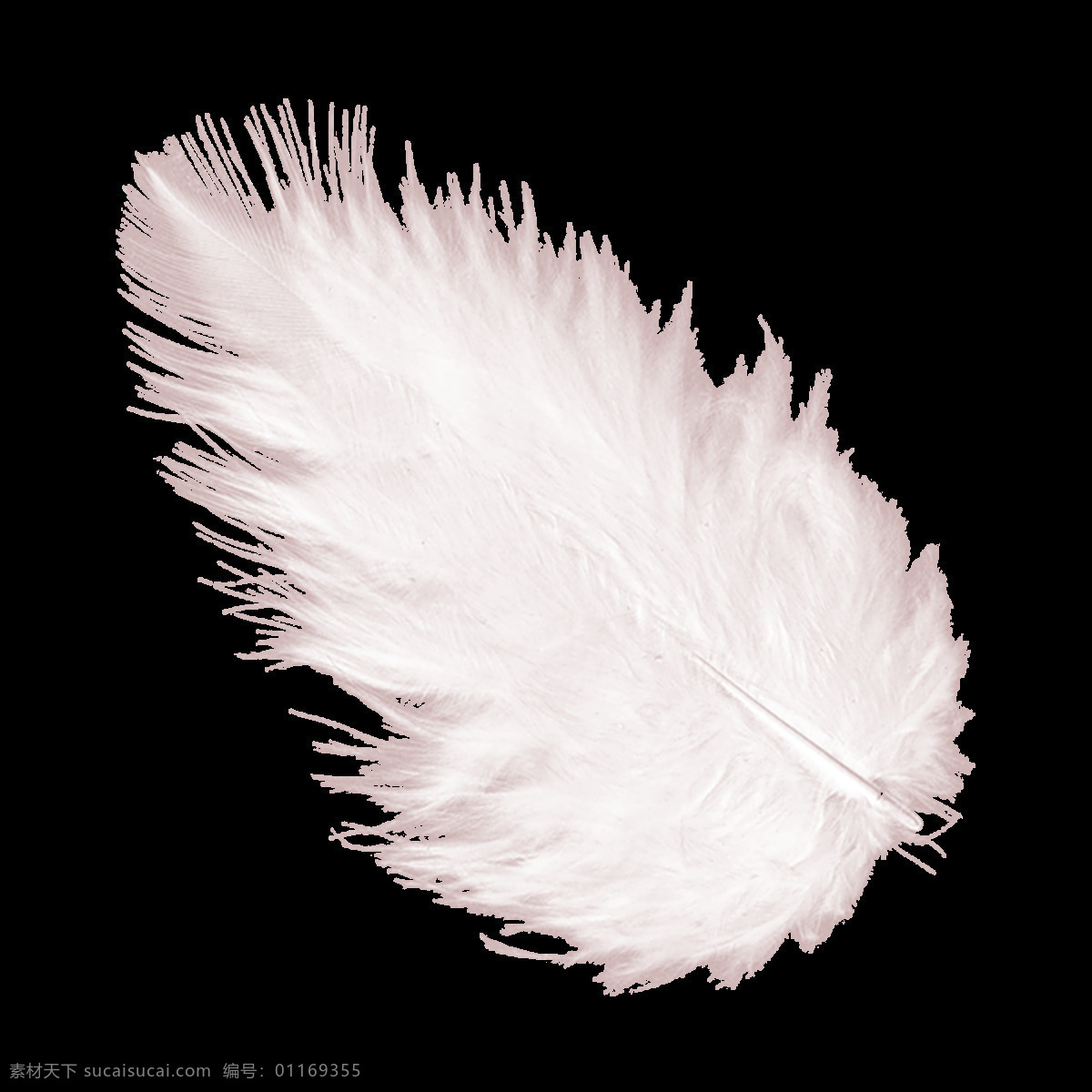 手绘 白色 羽毛 元素 png元素 白色羽毛 免抠元素 飘逸 轻柔 柔软 透明元素