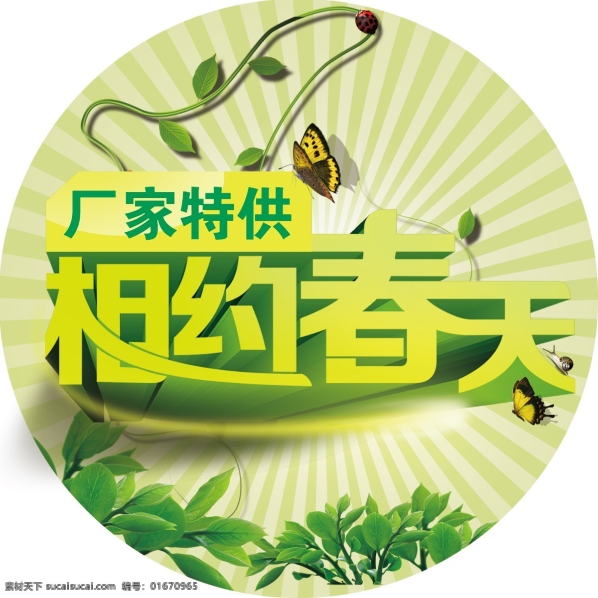 绿色 春天 新 吊 板 吊板 树叶 圆形 促销