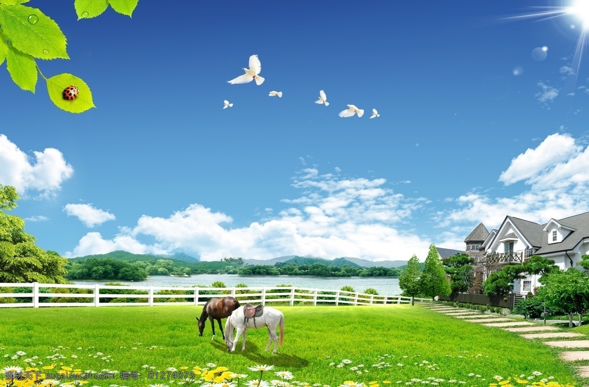 农场牧场 蓝天白云 蓝天草地 风景 自然风景 自然 绿色 蓝天 白云 牧场 畜牧业 马 种植园 草 草地 草皮 树 树木 树叶 花 花丛 花园 瓢虫 山 路 别墅 房子 房地产 田园 背景 展板 模版 宣传栏 海报 美景 环保 春天 空旷 星光 阳光 广告 分层 源文件