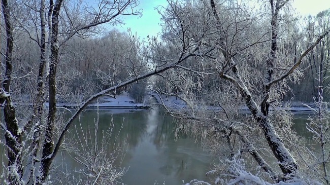 视频背景 合成视频 视频 实拍视频 合成视频背景 视频素材 视频模版 雪景 水上 树木