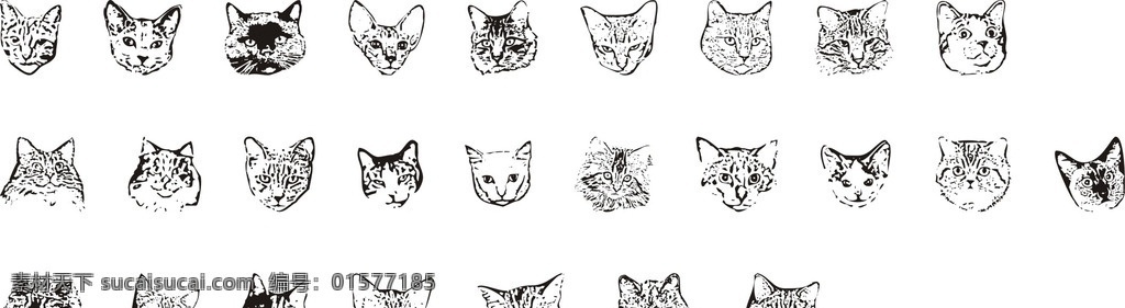 猫头 卡通 宠物 矢量图 简笔画 动漫动画