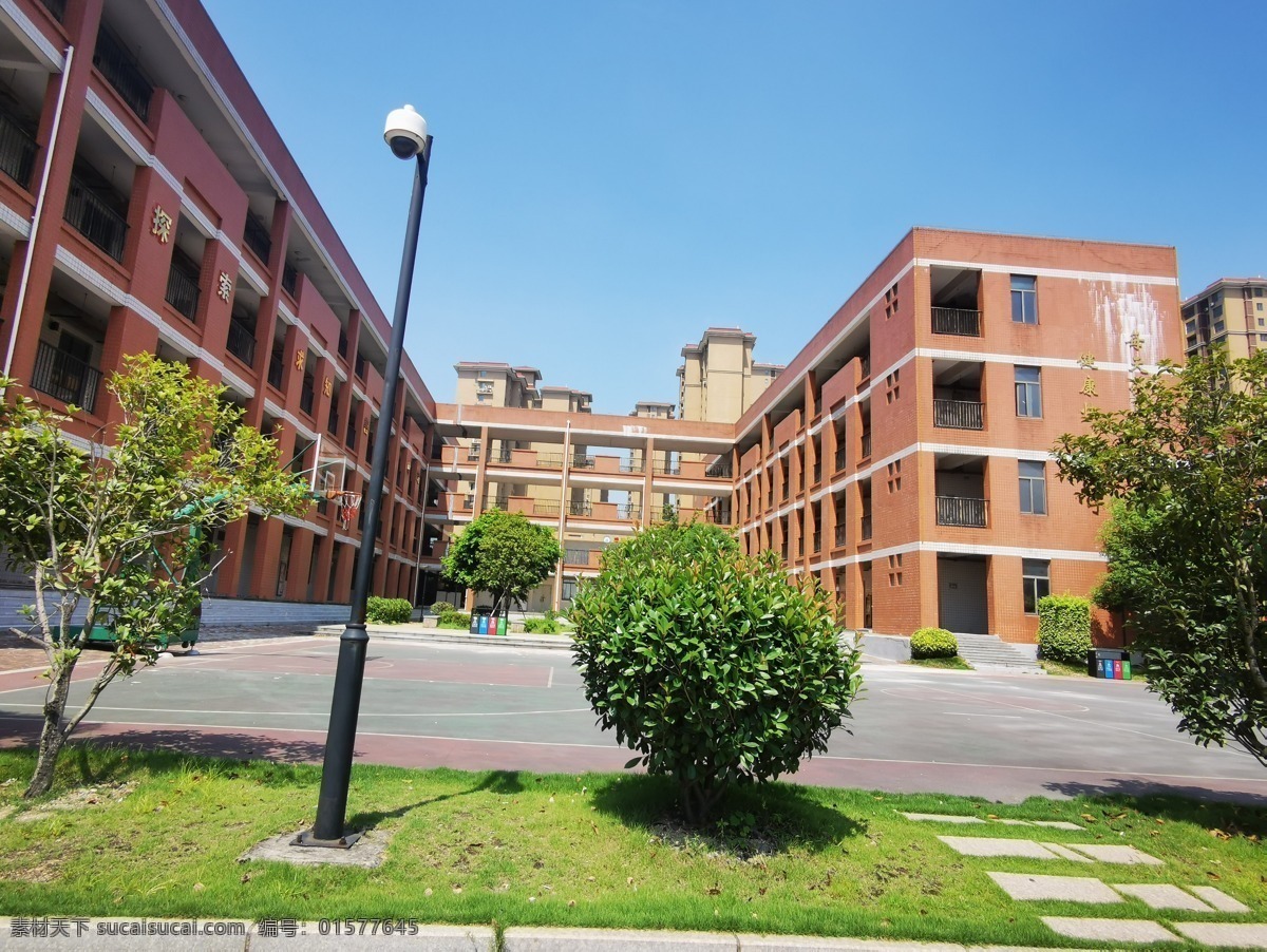 学校教学楼 罗源滨海学校 美丽的校园 校园景观 树木 罗源 罗源滨海 建筑 滨海学校 学校 校园 校门 操场 过道 绿化 蓝天白云 篮球场 草坪 校园风光 校园景色 中学 小学 中小学 通道 小学部 初中部 教学楼 办公楼 摄影图片