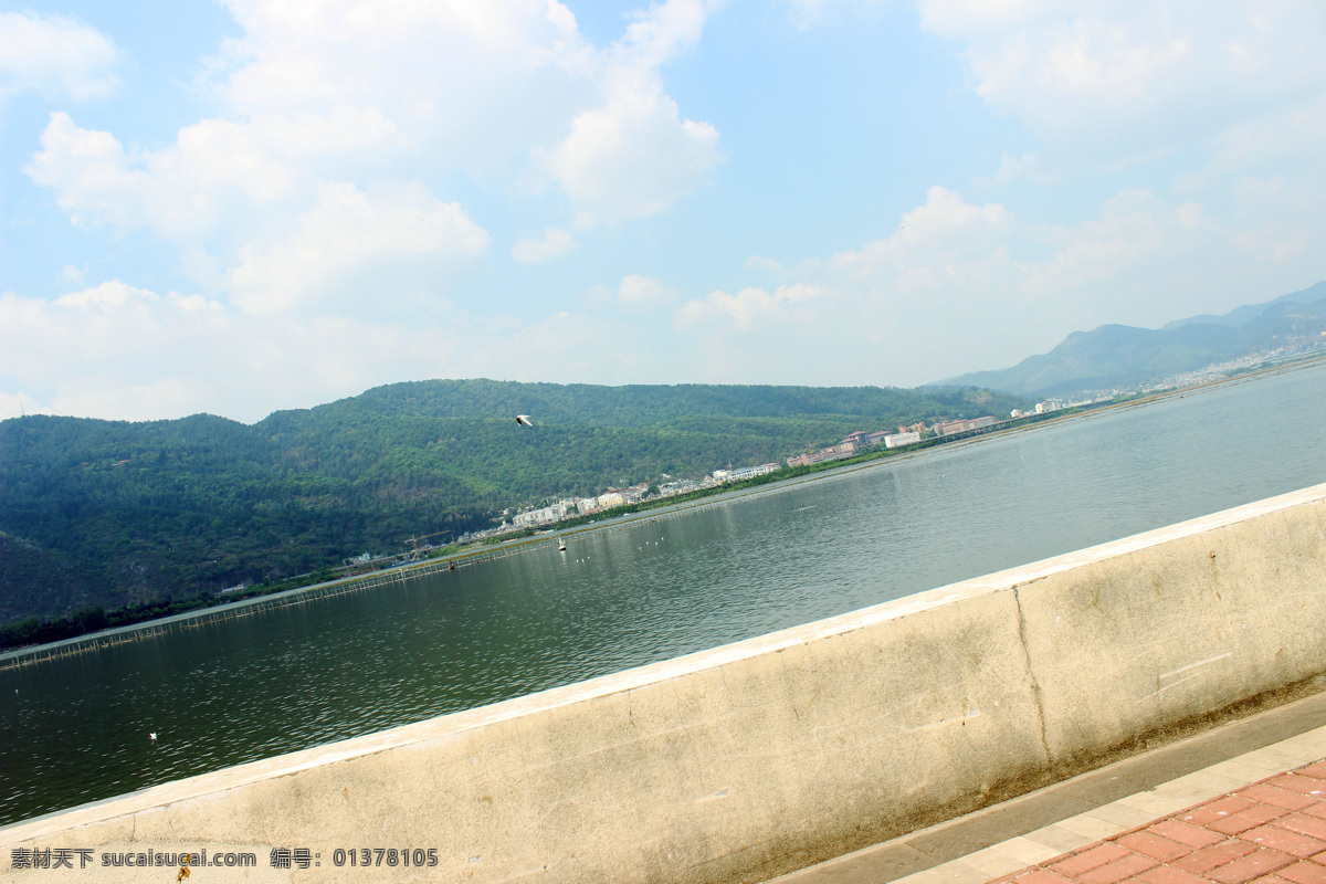 海鸥 树木 自然风景 自然景观 滇池 昆明滇池 鱼塘 昆明海埂 海埂公园 滇池游艇 西山 海埂大坝 海埂 风景 生活 旅游餐饮