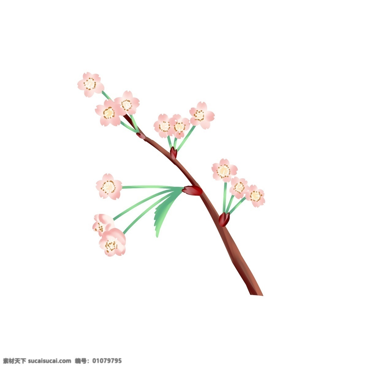 精美 樱花 树枝 插画 花枝 精美的花朵 粉色花朵 樱花枝 精美的花瓣 卡通植物插画 创意樱花插画