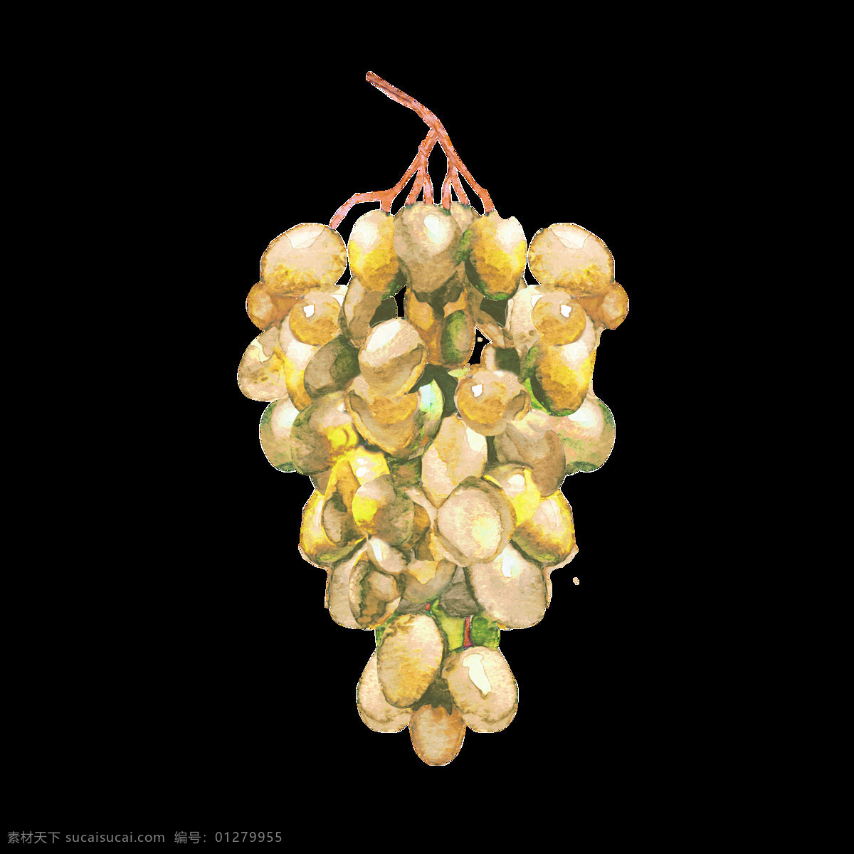 手绘 串 绿色 汁 葡萄 装饰 免扣素材 食物 水彩 水果 透明素材 一粒粒 装饰图片