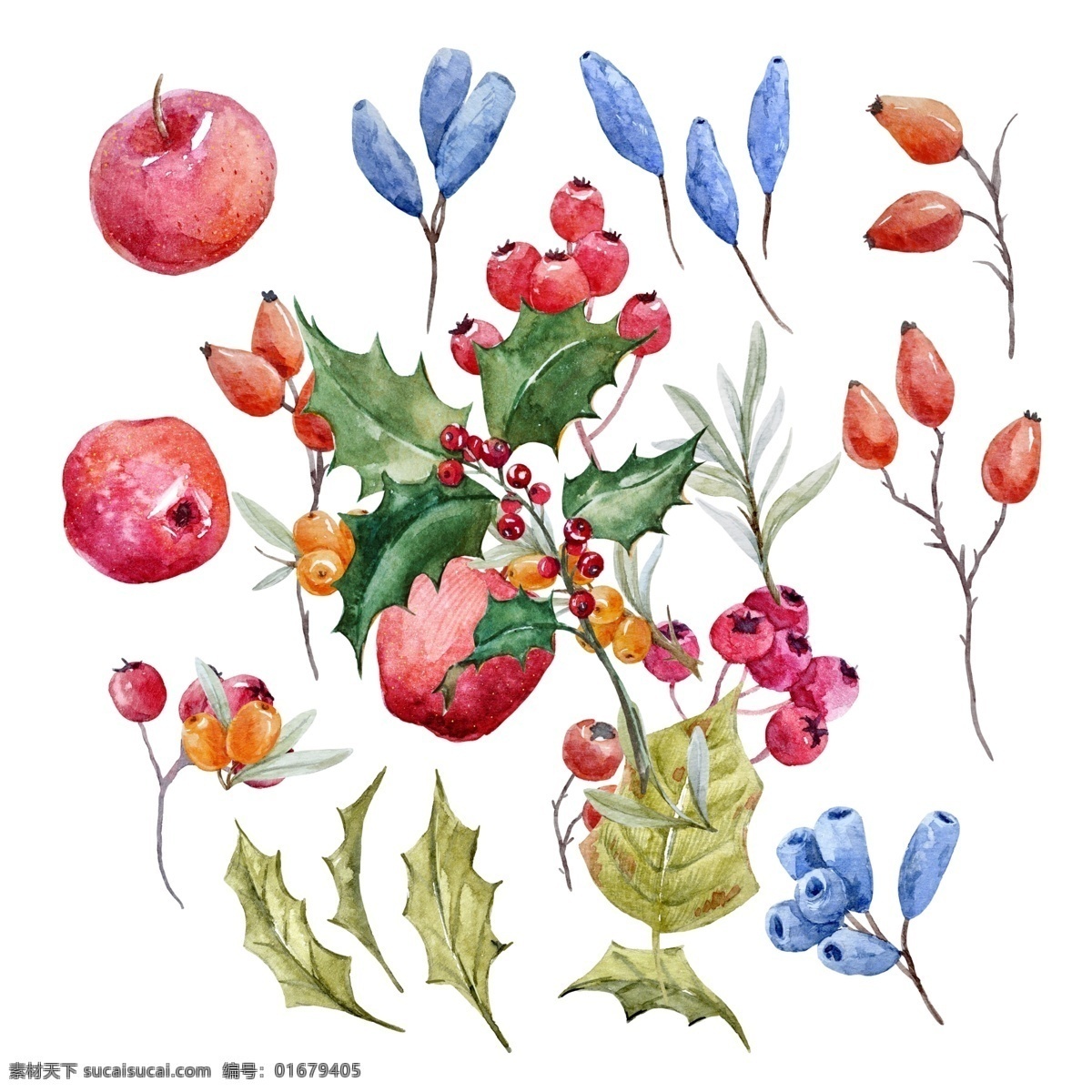 手绘 植物 花草 源文件 瓜果 红花 绿叶 苹果 装饰图案