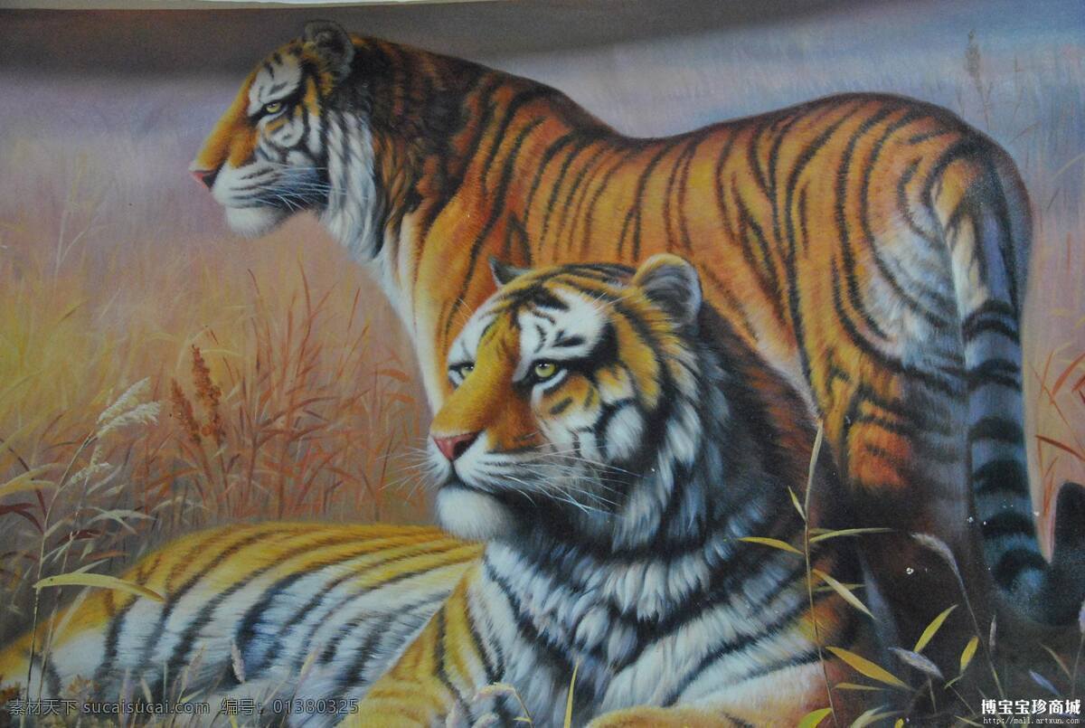 老虎 虎 绘画 绘画书法 生物 文化艺术 写实 老虎设计素材 老虎模板下载 野生 雌雄 油画