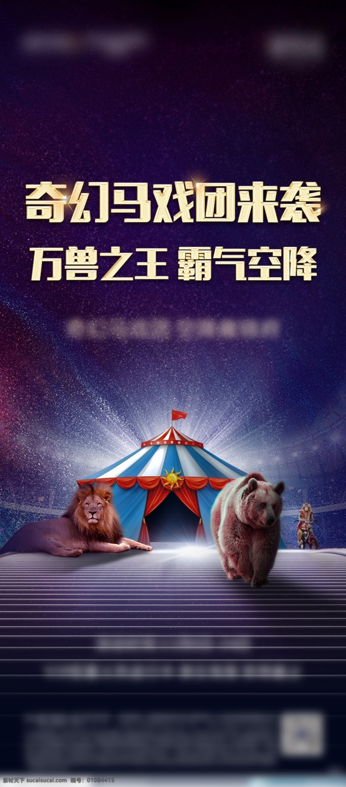 马戏团海报 狮子 狗熊 杂技团 紫色背景 分层