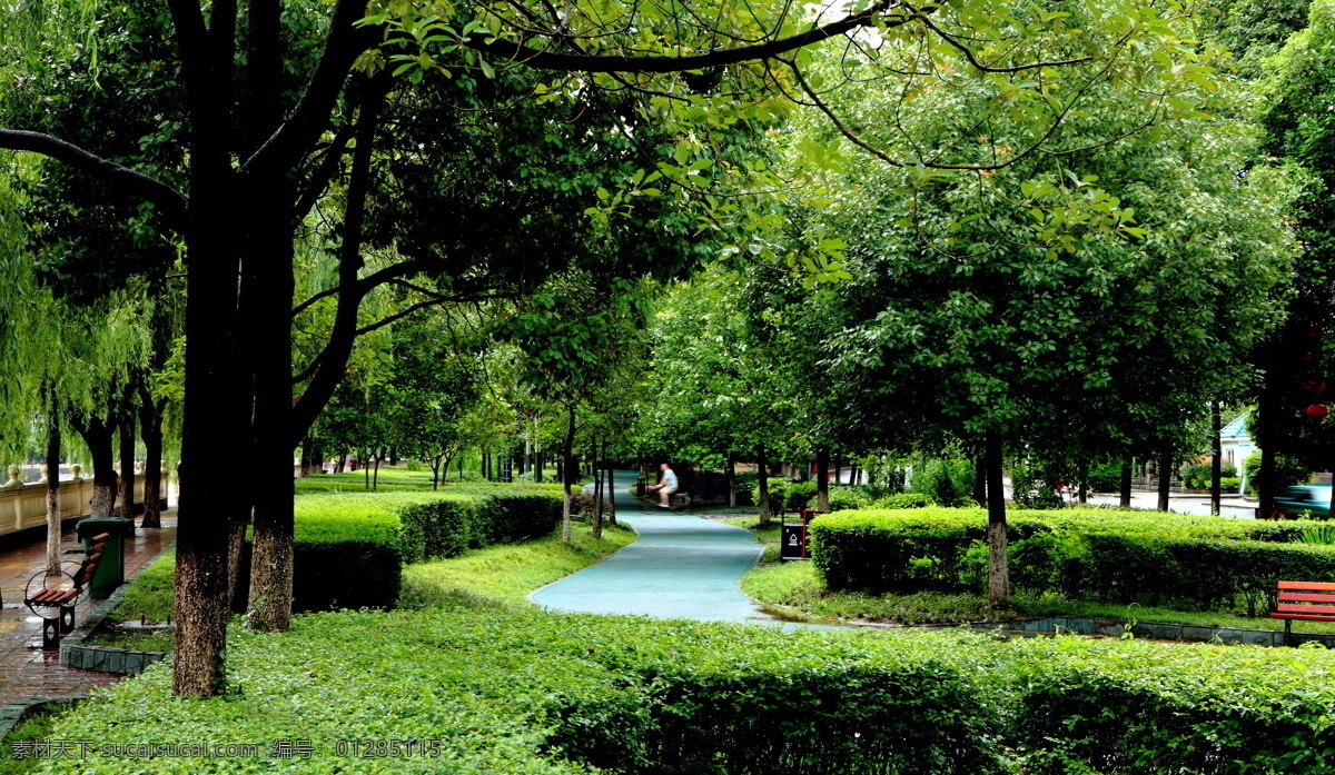森林公园 广元 森林 公园 公园小路 广场 树林 森呼吸 旅游摄影 自然风景