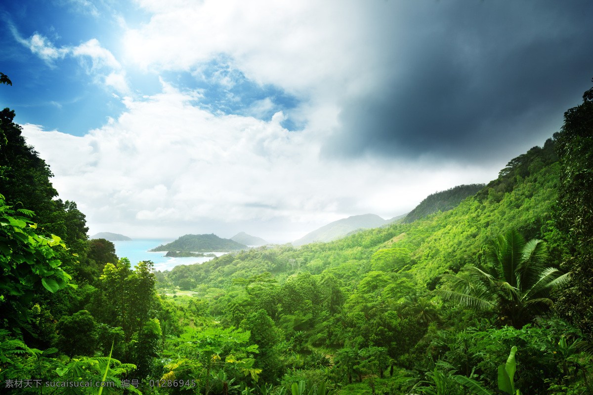 热带雨林 风景 湖泊风景 热带雨林风景 美丽风景 风景摄影 自然美景 美丽风光 山水风景 风景图片