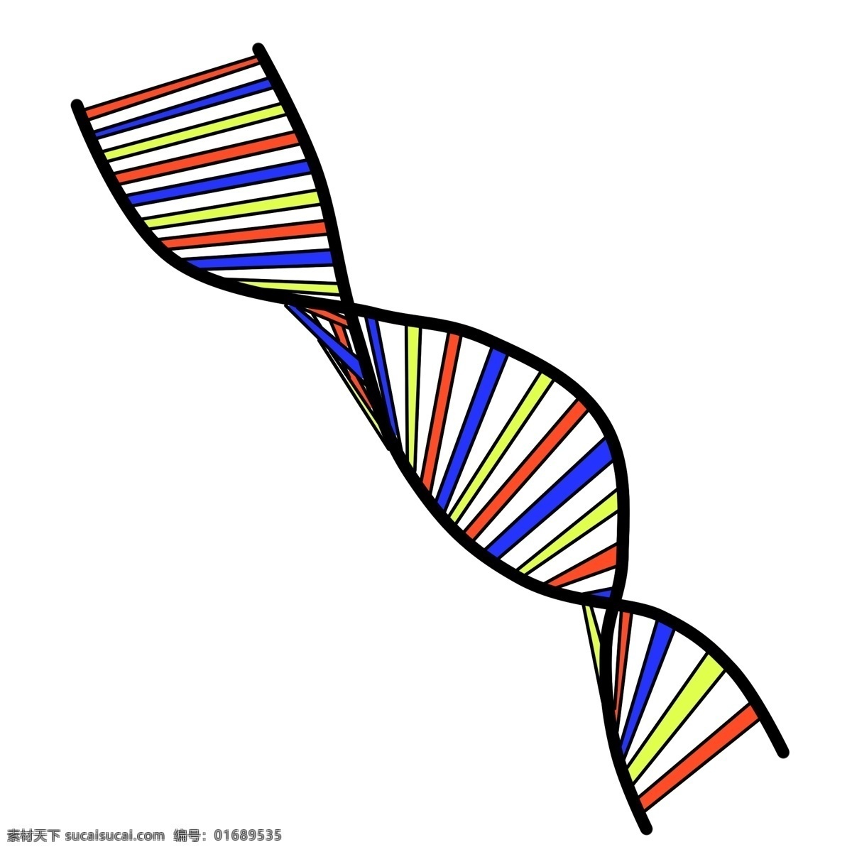 彩色 dna 遗传 螺旋 图 生物学 转基因 医学 基因 螺旋图插画