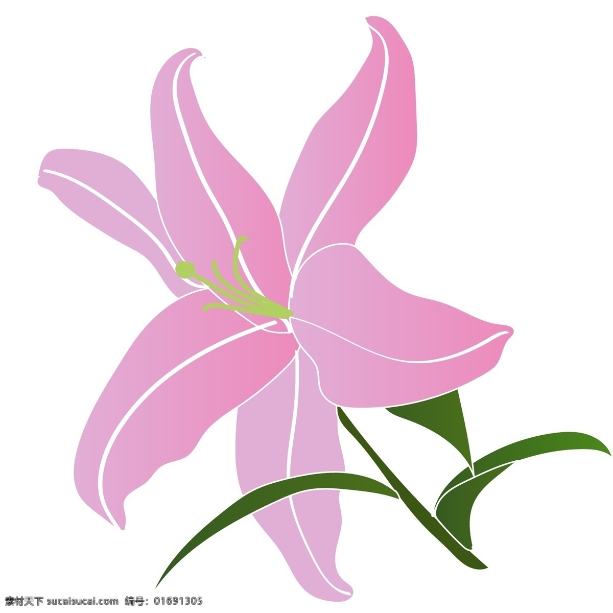 矢量 免 扣 手绘 百合花 绽放 免扣 黄色 紫色 花蕊 绿植 天然 白色 蓝色 漂亮 装饰 贴画