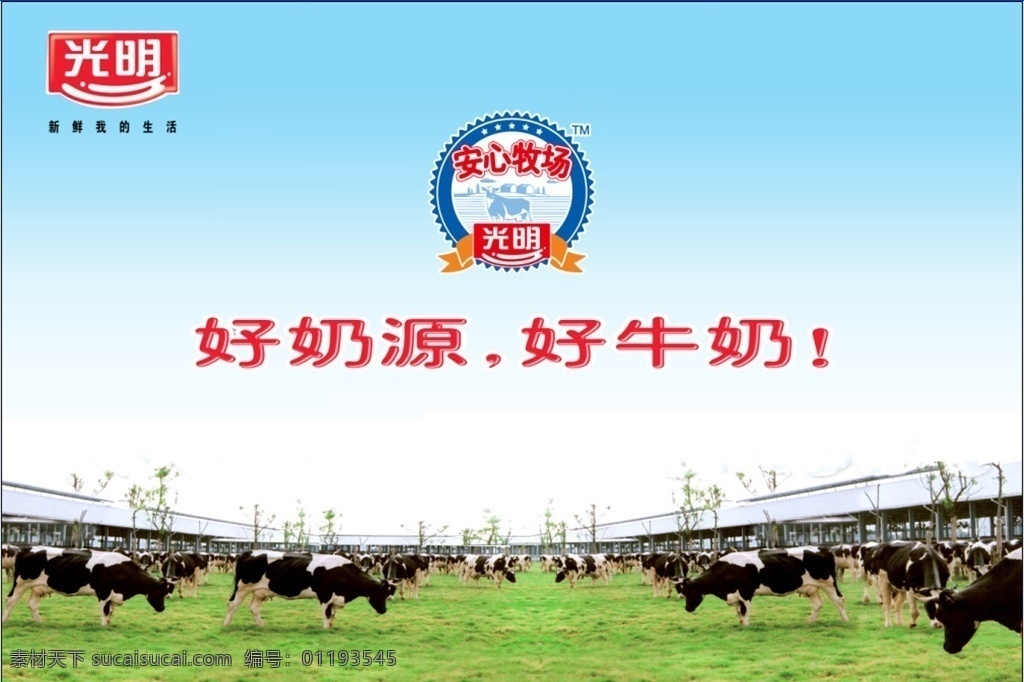 光明 光明牛奶 牧场 放心奶源 分层图 海报