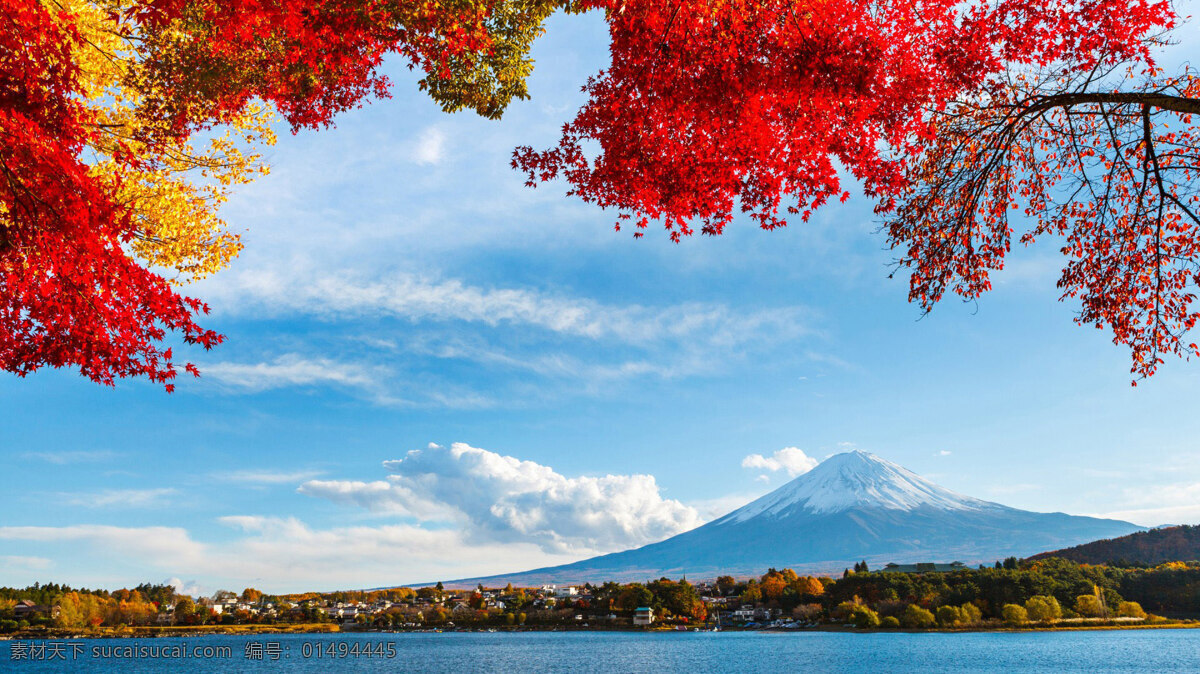 美丽的富士山 富士山 美景 树木 天空 河流 多娇江山 自然景观 自然风景