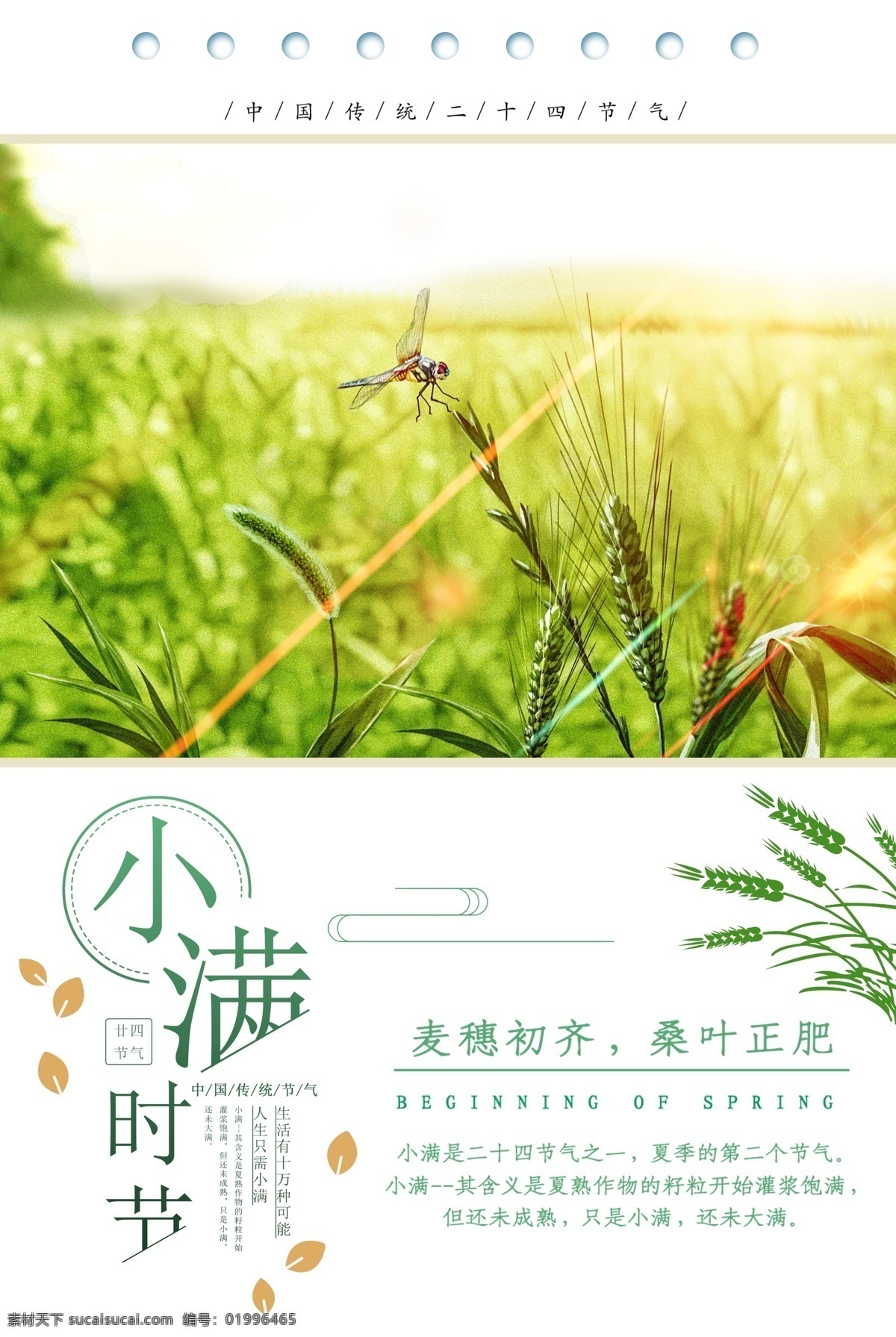 小满 台历 日历 地产微信 微信稿 小寒 冬至 立冬 春分 谷雨 立夏 芒种 夏至 节气海报 二十四节气