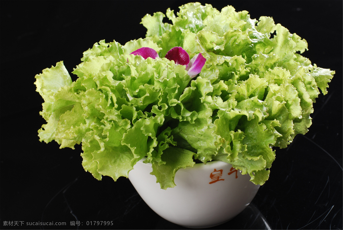 叶生菜 美食 传统美食 餐饮美食 高清菜谱用图 食物原料