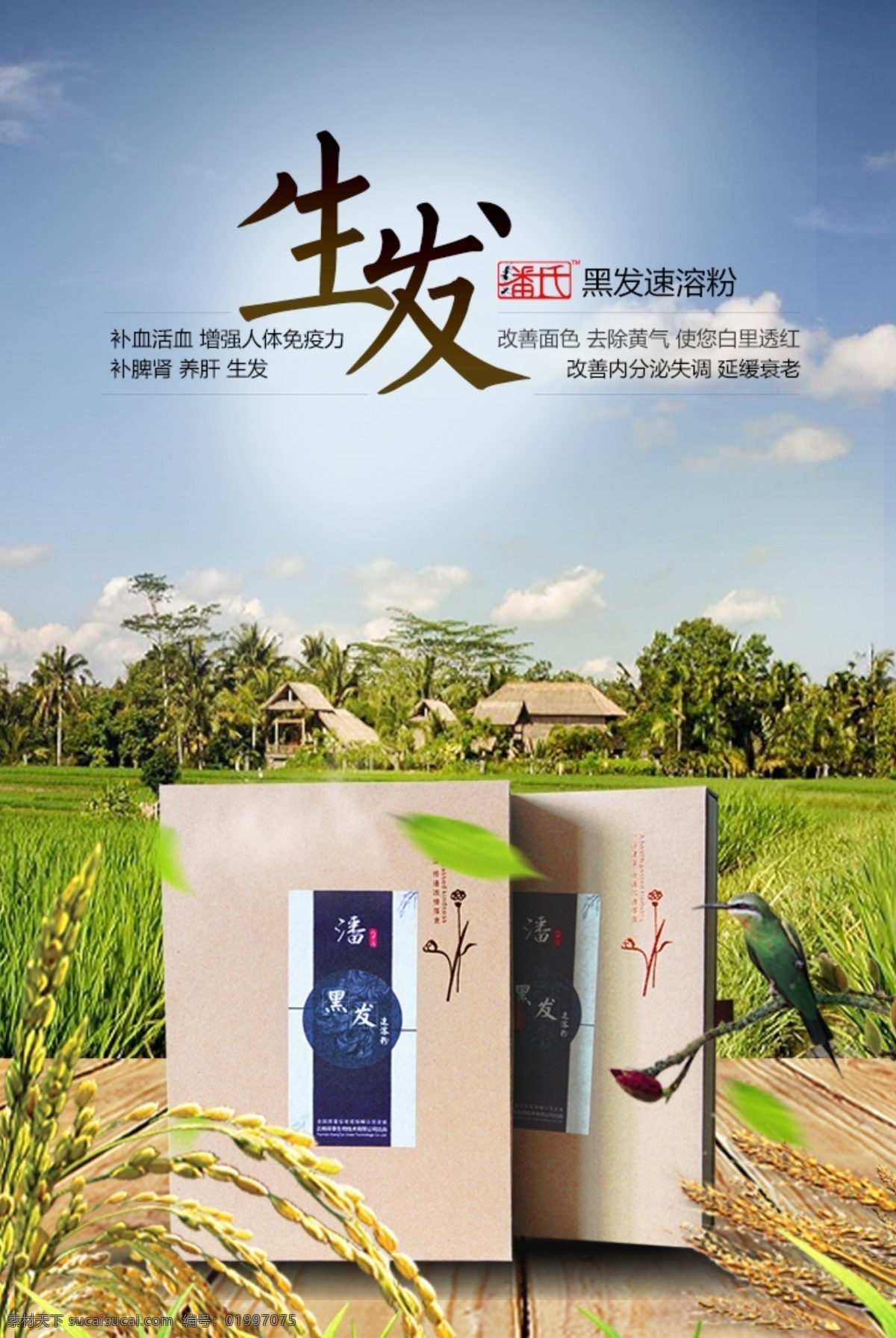 生发海报 生发 海报 山水