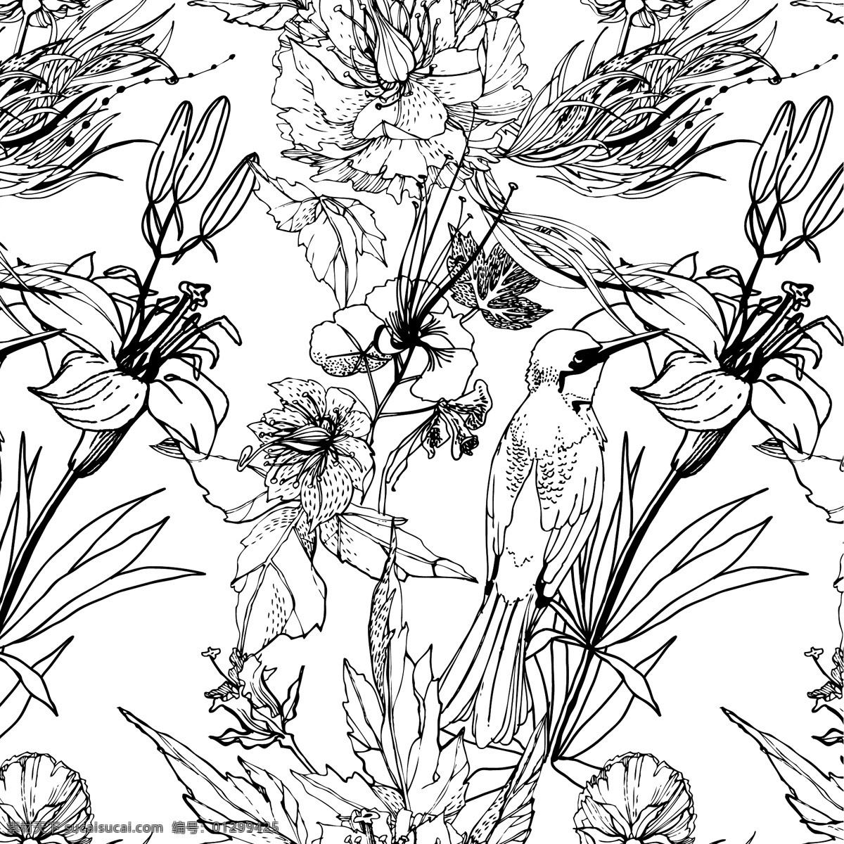 黑白 手绘 花鸟 花卉 矢量图 格式 矢量 高清图片