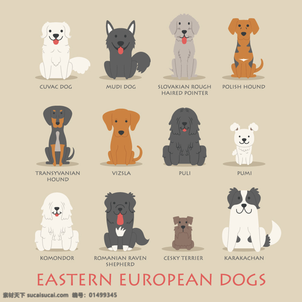 东欧 宠物狗 矢量 狗 品种 大型犬 小型犬 黄色