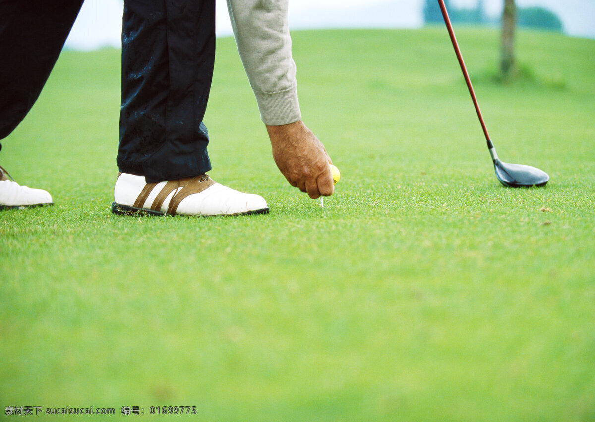草坪 上 高尔夫球 男人 人物 高尔夫球场 草地 绿草地 草丛 男士 休闲 运动 娱乐 手势 手 拿着 高尔夫 高清图片 体育运动 生活百科