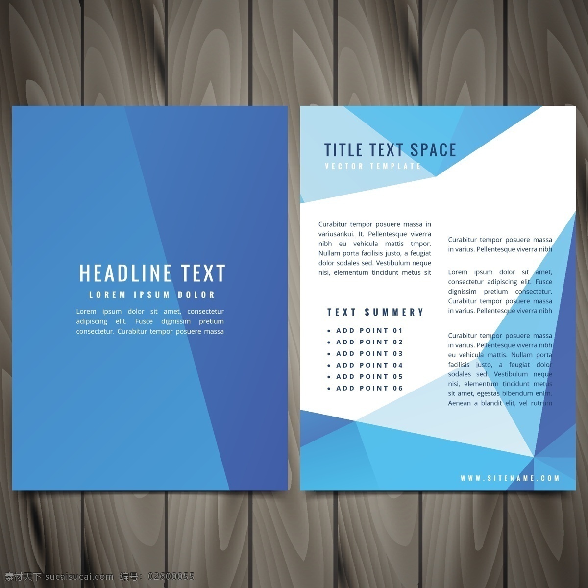 清洁 现代 企业 宣传册 业务 传单 抽象 几何 蓝色 封面 市场营销 形状 图形 小册子 展示 促销 创意 打印 文档