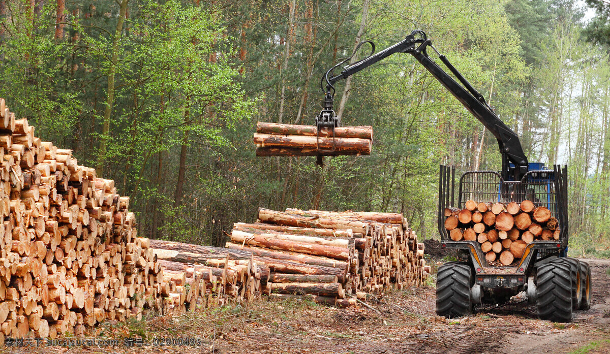 抓 运 木材 机械 树林 伐木 生产 运输 工业生产 现代科技