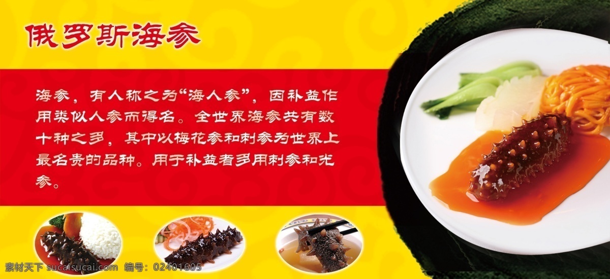 俄罗斯 海参 简介 海人参 梅花参 刺参 分层