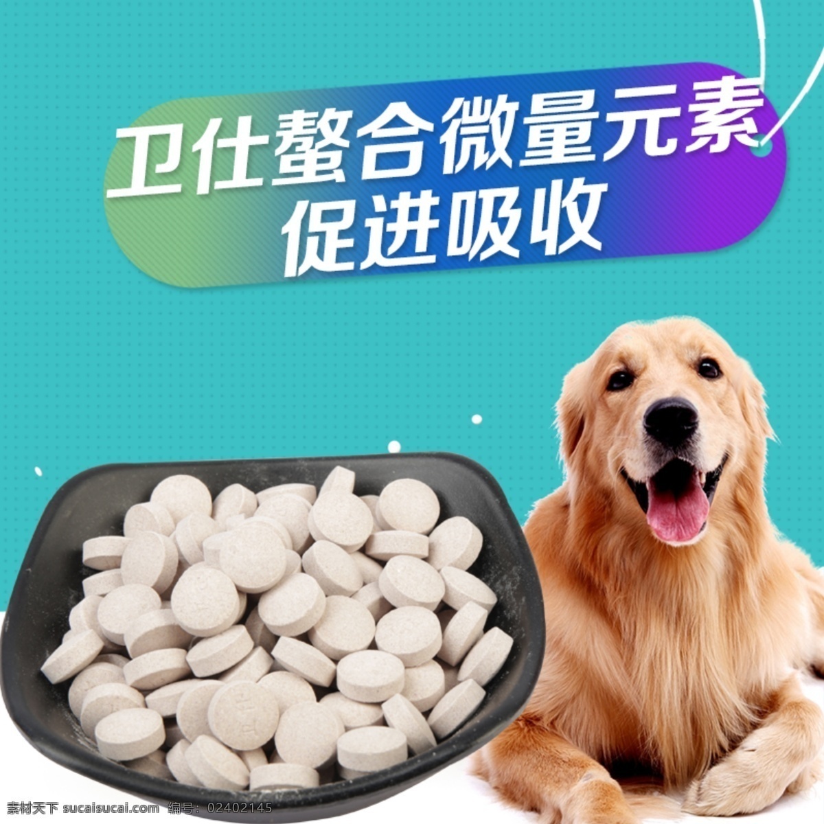 狗元素钙片 狗营养品钙片