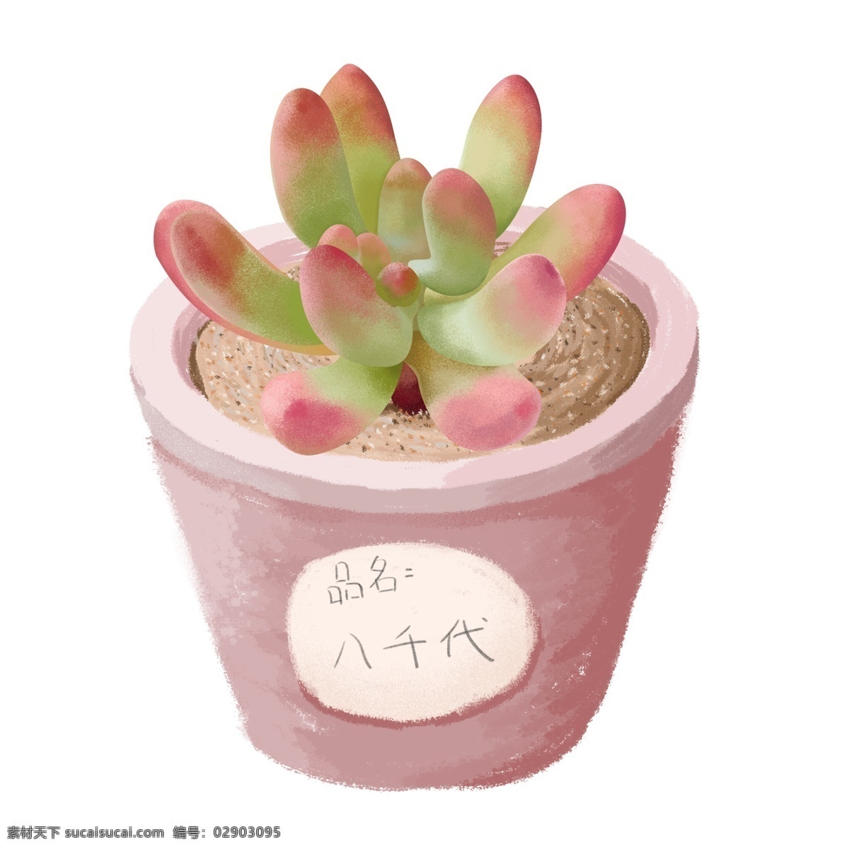 手绘 噪 点 小 清新 盆栽 肉 植物 元素 插画 手绘植物 手绘多肉 多肉植物 多肉元素 植物元素 手绘盆栽 多肉盆栽