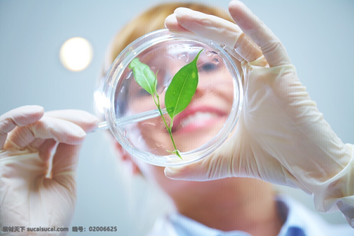科学实验 自然护肤 研究 植物精粹 干净清新 现代科技 科学研究