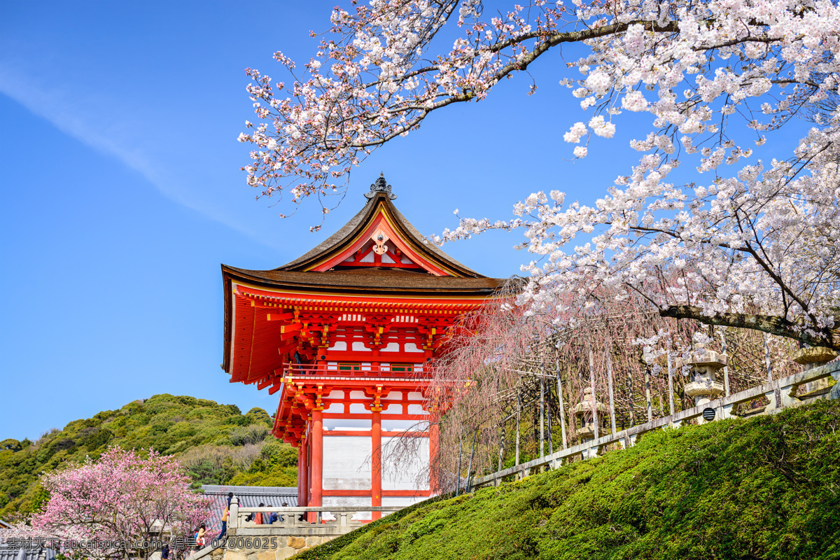 唯美东京 唯美 风景 风光 旅行 人文 城市 东京 日本 古建筑 樱花 旅游摄影 国外旅游