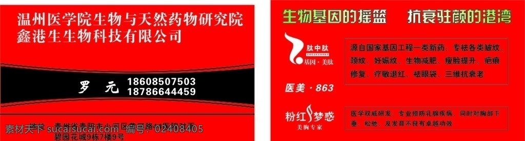 医学院生物 医学院名片 名片 标准名片 个性名片 红底 名片卡片 矢量