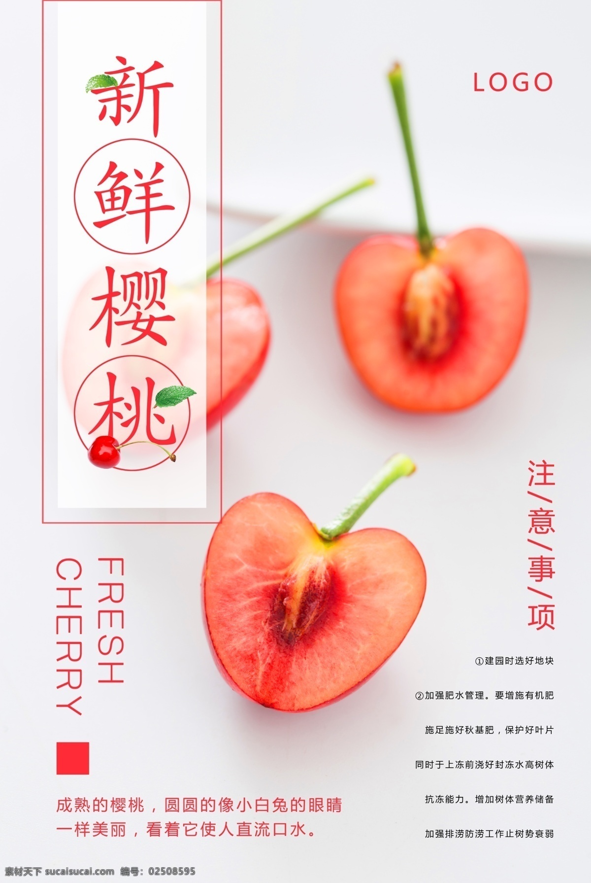 樱桃 水果 夏季 夏日 展架 展板 草莓 樱桃种植 采摘樱桃 水果基地 果园 进口水果 热带水果 水果店 水果超市 有机水果 水果专卖 天然营养 水果沙拉 宣传广告 西瓜 蓝莓 杨梅 荔枝 菠萝 水果樱桃 樱桃水果