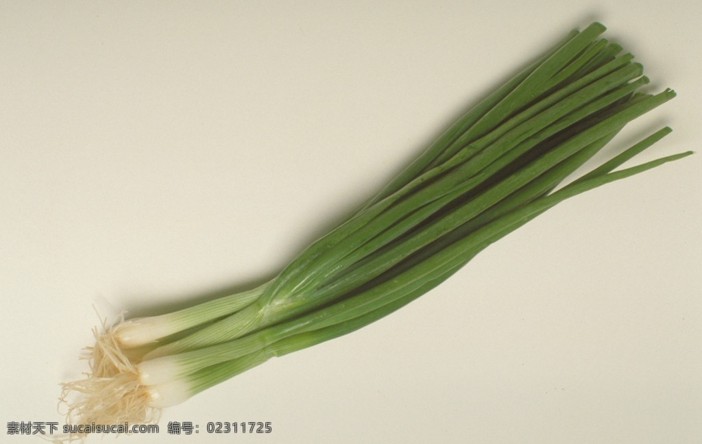 大葱 食物写真 餐饮美食 食物原料 新鲜食物 新鲜 食物 食品 蔬菜 生物世界