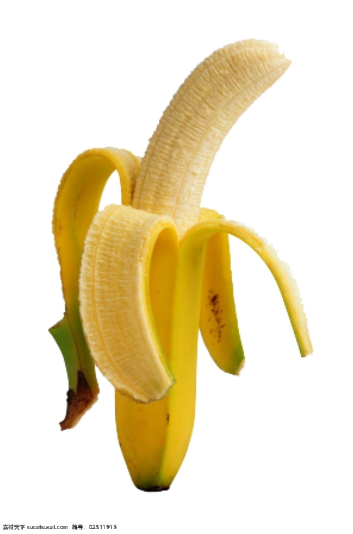 剥开的香蕉 香蕉素材 剥开 白色