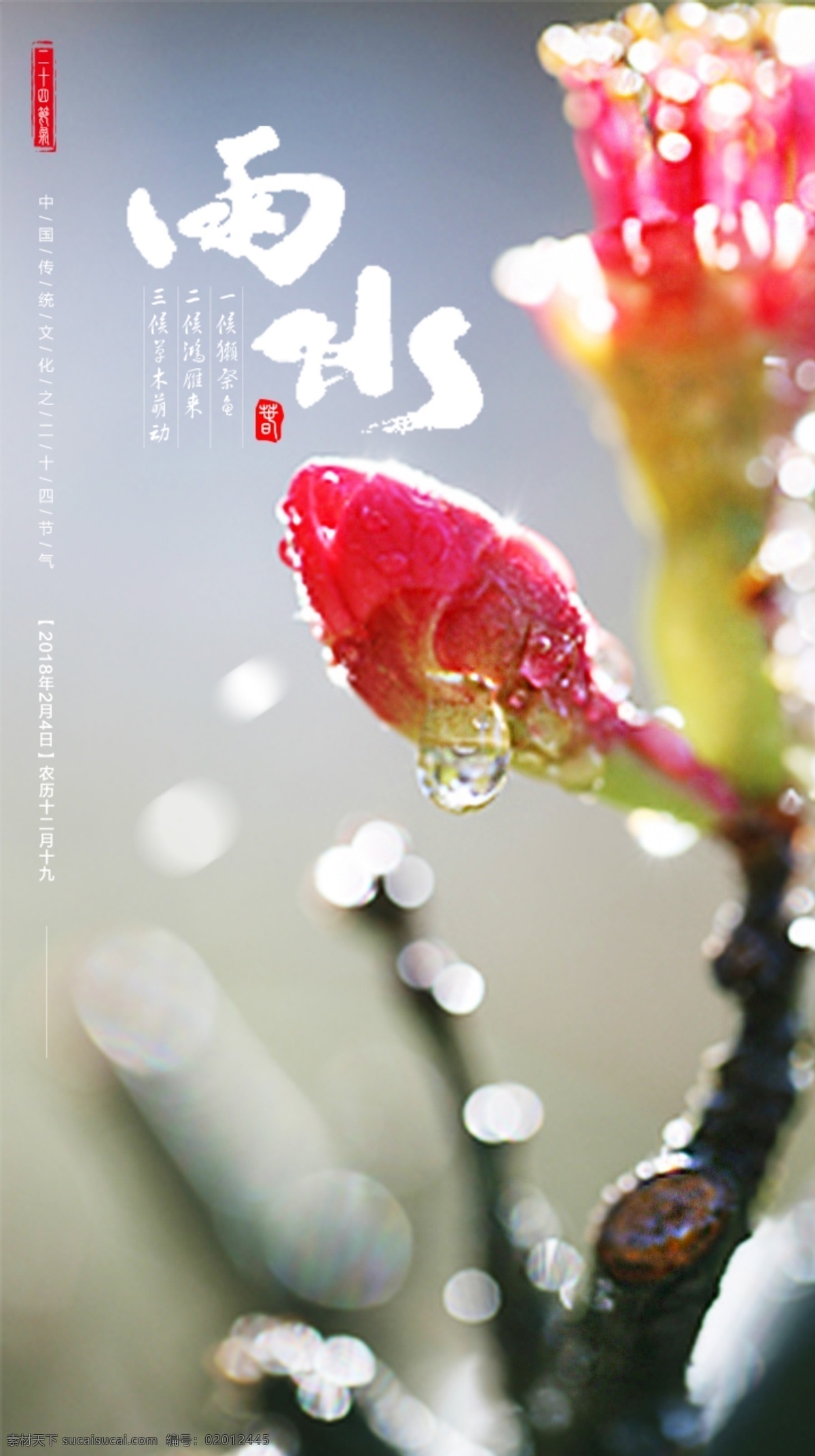 二十四节气 雨水 雨水节气 草木萌动