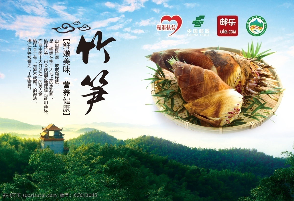 桃江竹笋图片 益阳 桃江 竹笋 明信片 消费 扶贫 名片卡片
