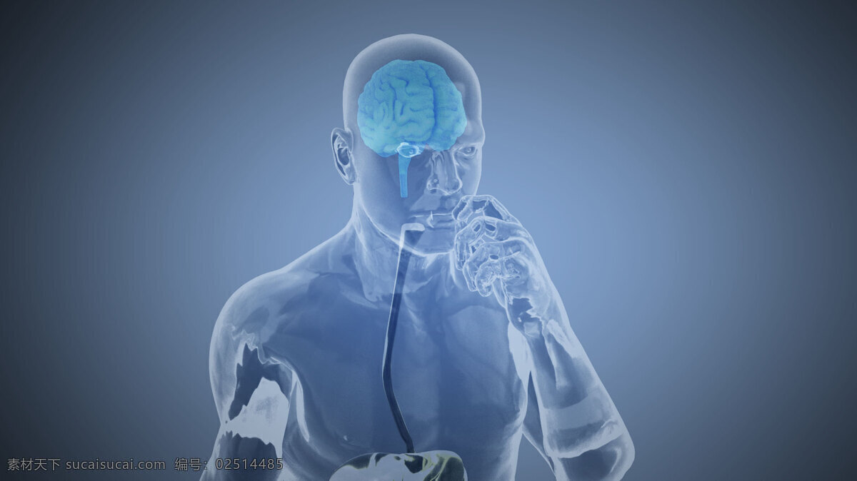 透明人体吃药 人 透明 吃药 大脑 抬手 3d设计 3d作品
