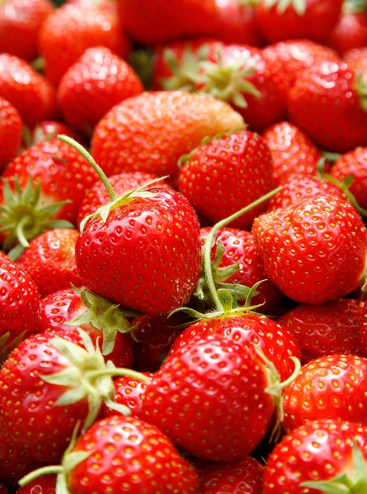 唯美草莓 水果 自然 健康 营养 唯美 清新 意境 美味 美食 新鲜 鲜果 草莓 生物世界