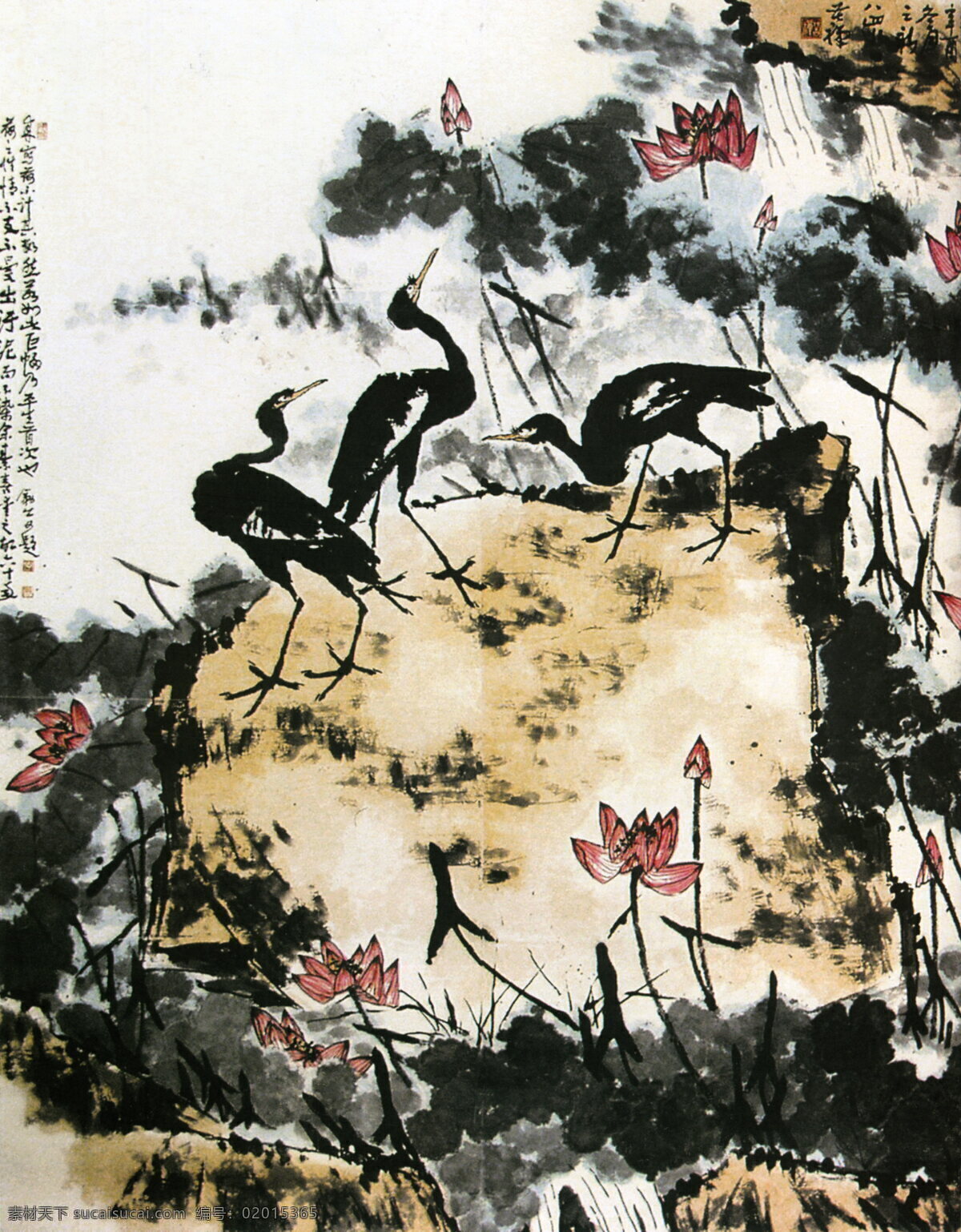 盛夏图 李苦禅 花鸟国画 水墨画 古画 中国画 设计素材 花鸟画篇 中国画篇 书画美术 白色